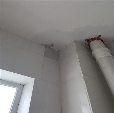 楼房裂缝渗水怎么办 猇亭区热点 启万防水工程
